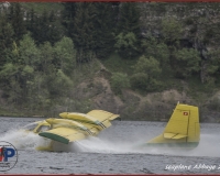 TSR Watermark - 0285